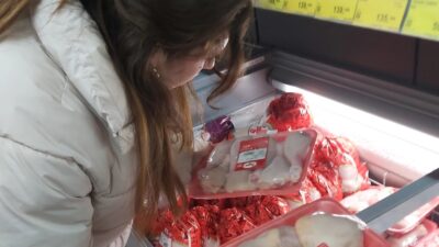 Yerköy İlçe Tarım ve Orman Müdürlüğü, Tarım ve Orman Bakanlığı’nın