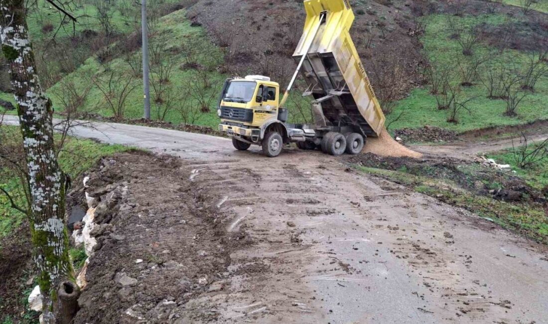 Heyelan bölgesinde anında çalışma Düzce'nin Yığılca ilçesinde meydana