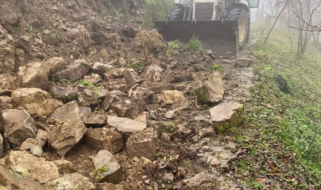 Düzce'nin Çelikdere köyünde sağanak yağış sonrası meydana gelen heyelan nedeniyle