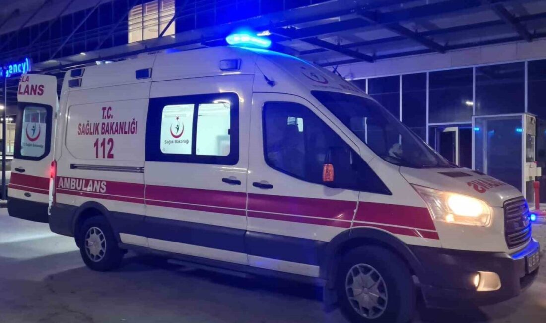 Bodrum'da alacak verecek meselesi