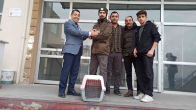 Iğdır Anadolu Lisesi'nde bulunan bitkin kukumav kuşu, okul yönetimi tarafından