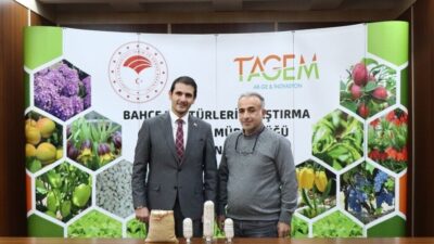Erzincan Bahçe Kültürleri Araştırma Enstitüsü, Tohumluk Tescil ve Sertifikasyon Merkezi'ne