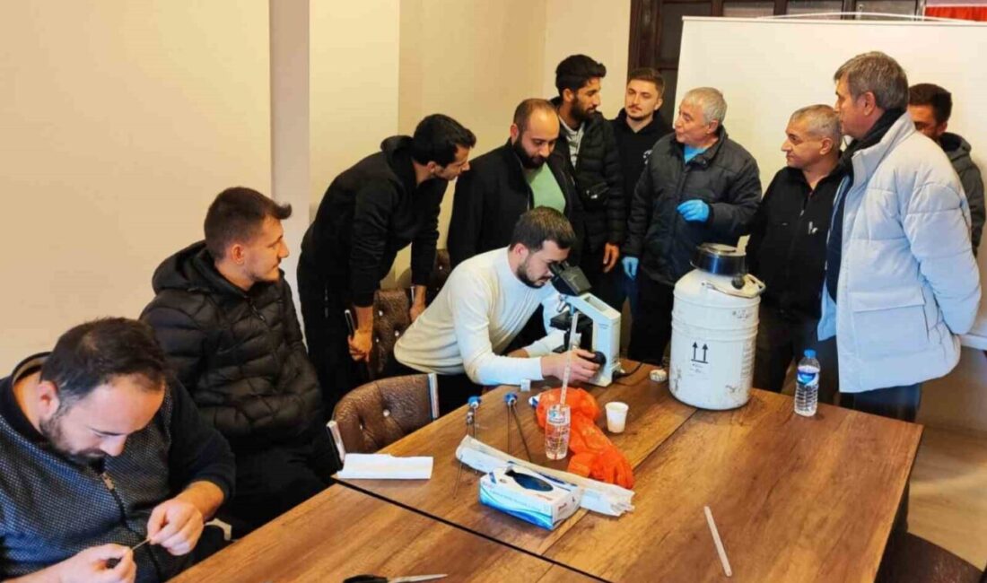 “İneklerde Rektovaginal Yöntemle Suni Tohumlama” kursu tamamlandı Kars Veteriner Hekimler Odası