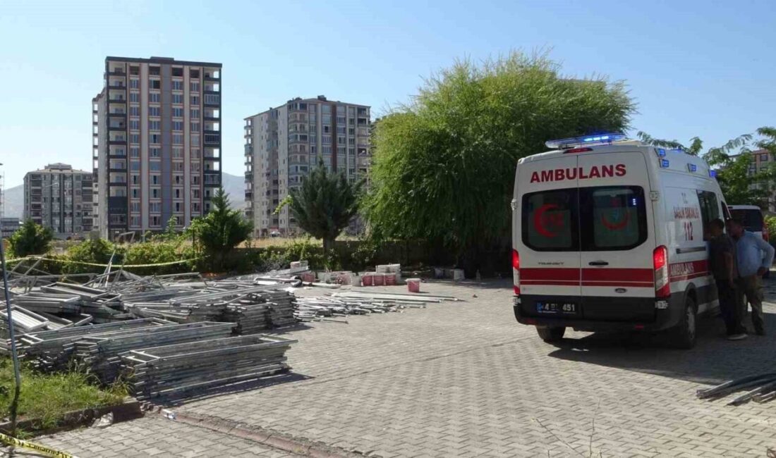 İnönü Üniversitesi Öğretim Üyesi