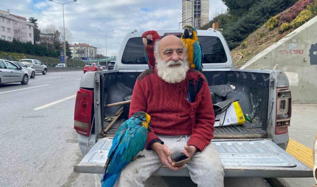 İstanbul Beykoz'da yaşayan 70
