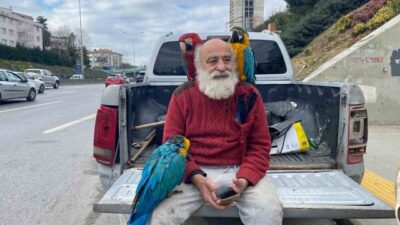 İstanbul Beykoz'da yaşayan 70 yaşındaki İsmail Karamustafa, omzundaki papağanlarıyla ilgi