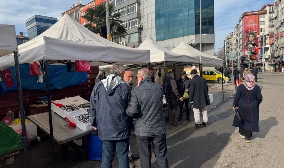 Zonguldak'ta istavrit, hamsi gibi balıklar 150 liradan satılıyor. Balıkçılar, balığın
