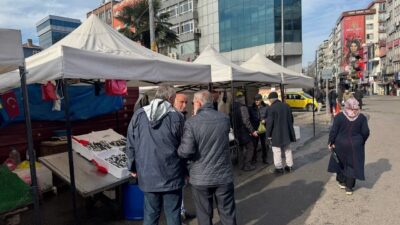 Zonguldak'ta istavrit, hamsi gibi balıklar 150 liradan satılıyor. Balıkçılar, balığın