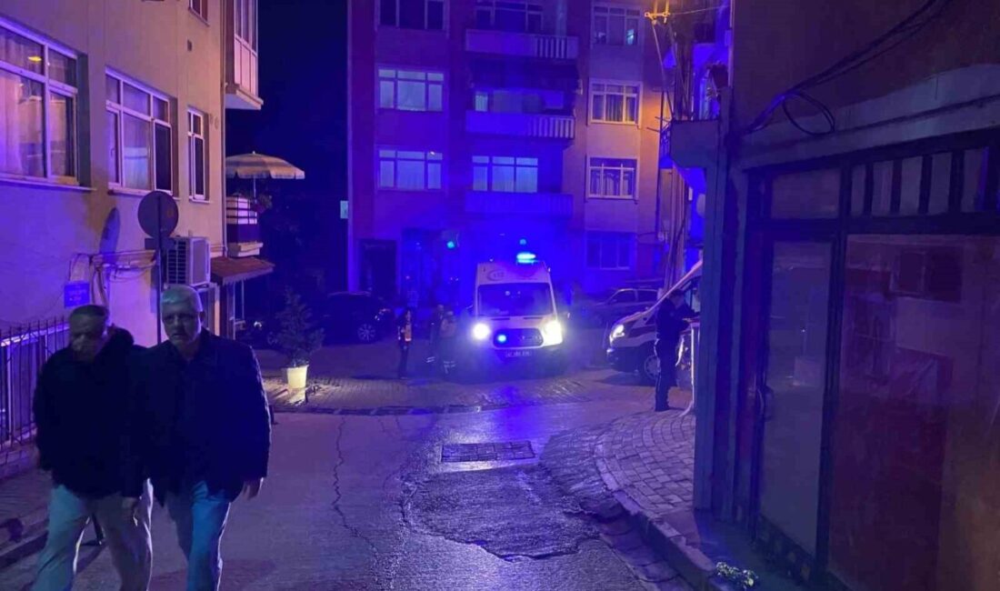 İzmit’te 4 katlı binada çıkan yangında 2 kişi dumandan etkilendi İzmit İlçesi'nde 4 katlı
