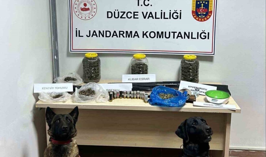 Düzce'de yapılan operasyonda kubar esrar, kenevir tohumu ve 3 adet