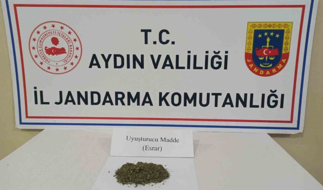 Aydın'ın Efeler ilçesinde jandarma ekipleri yol kontrol noktasında uyuşturucu madde