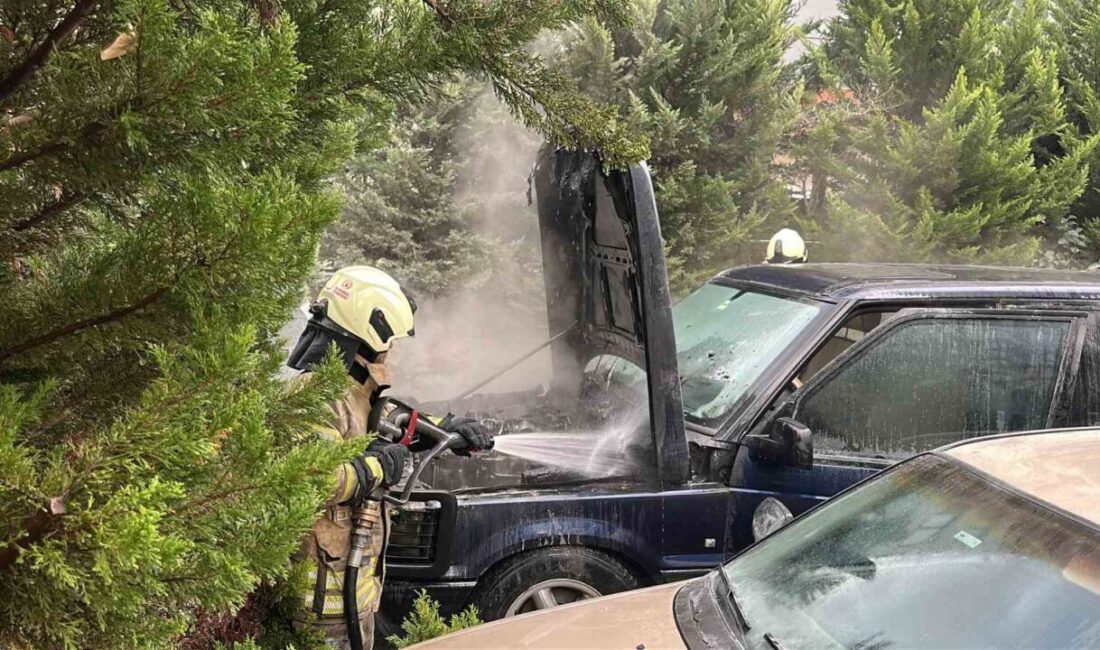 Kadıköy'de park halindeki 34 N 6209 plakalı Range Rover marka