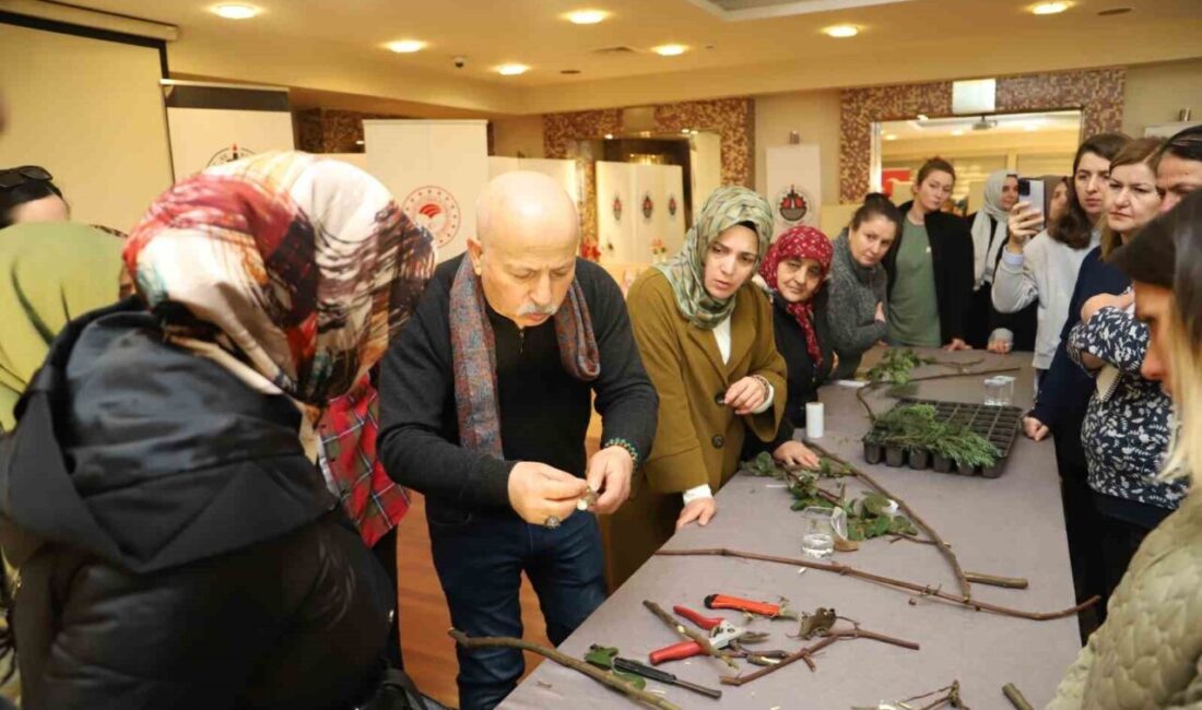 Kadın çiftçilere budaması anlatıldı Düzce'de Tarımda Kadın Eli