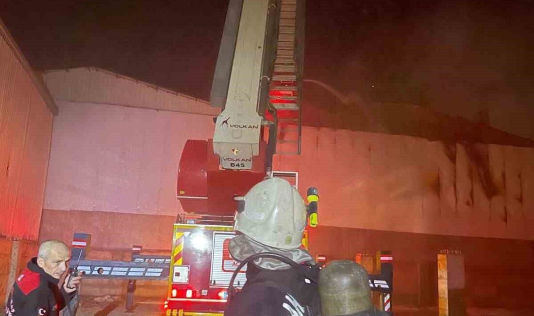 Kahramanmaraş'ta çıkan yangın, itfaiye ekiplerinin hızlı müdahalesiyle kontrol altına alındı.