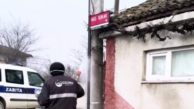 Düzce'nin Çilimli ilçesinde belediye ekipleri kahverengi kokarca zararlısıyla mücadele ediyor.