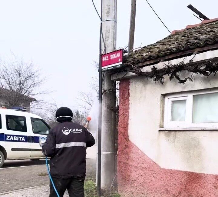Kahverengi kokarca ile mücadele sürüyor Düzce'nin Çilimli ilçesinde belediye