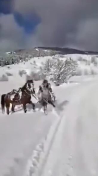 Kar üzerinde 4 nala eğlence kötü bitti Artvin'in Şavşat ilçesine bağlı