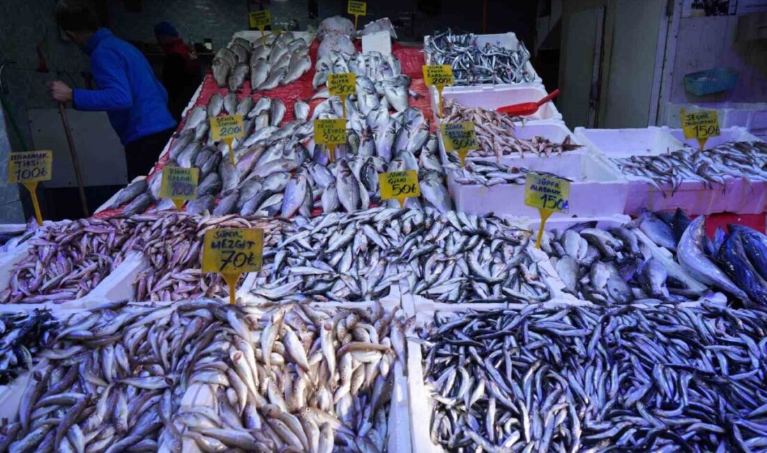 Karadeniz'de bol miktarda çıkan ve kilosu 70 TL olan mezgit