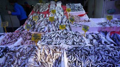 Karadeniz'de bol miktarda çıkan ve kilosu 70 TL olan mezgit