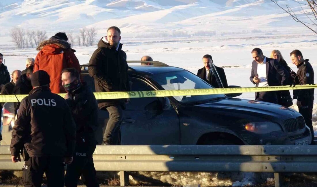 Erzurum'da bir kardeşi silahla öldüren B.Y., ardından intihar girişiminde bulundu.