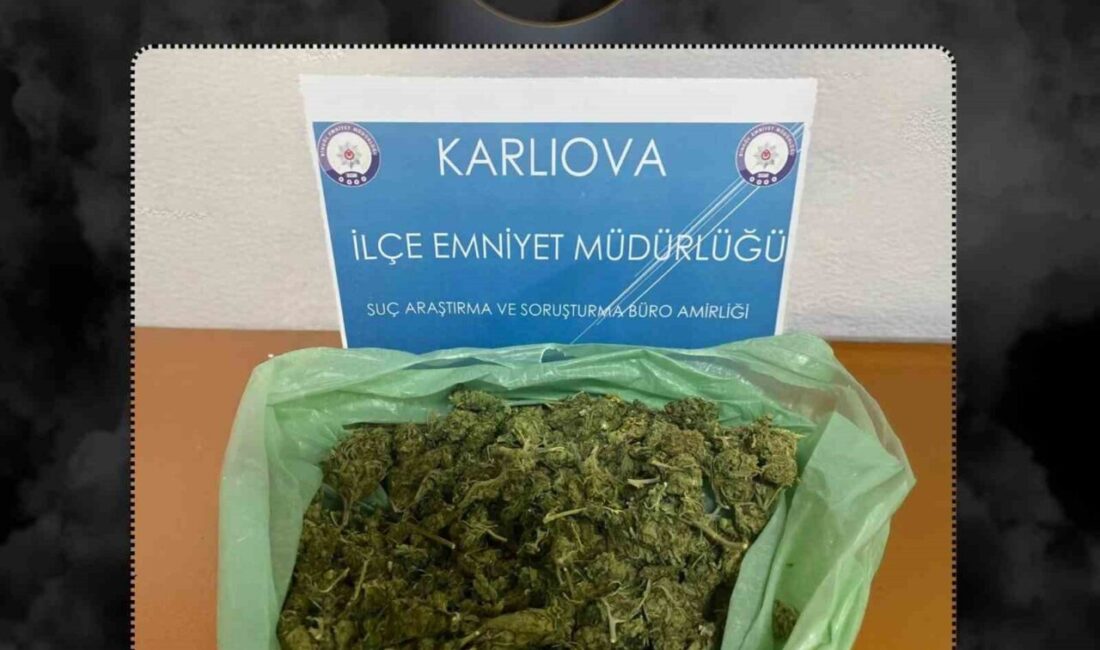 Karlıova’da uyuşturucuyla mücadele: 2 gözaltı Bingöl'ün Karlıova ilçesinde 2