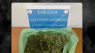 Bingöl'ün Karlıova ilçesinde 2 şüpheli, 187,51 gram skunk maddesi ile