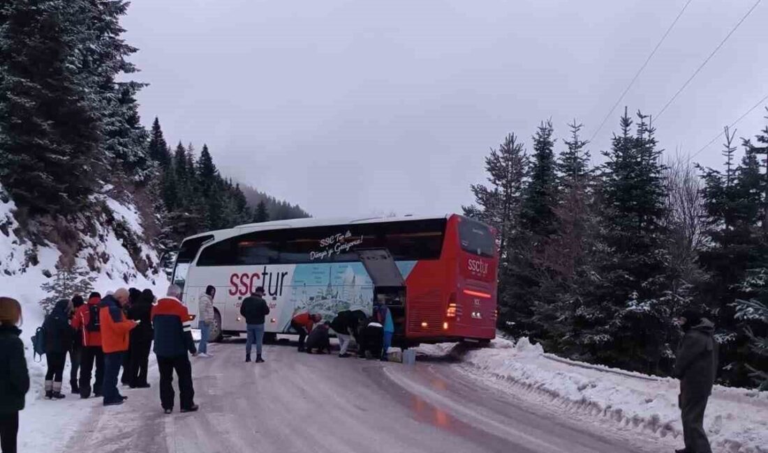 Bolu'da Kartalkaya Kayak Merkezi yolunda buzlanma nedeniyle kontrolden çıkan yolcu