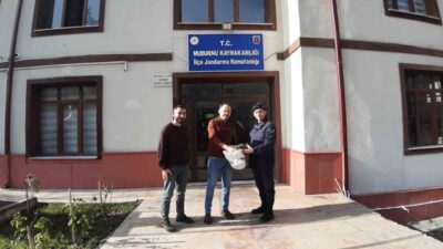 Bolu'da kaybolan çanta, karlar eridikten sonra sahibine teslim edildi. Çantada