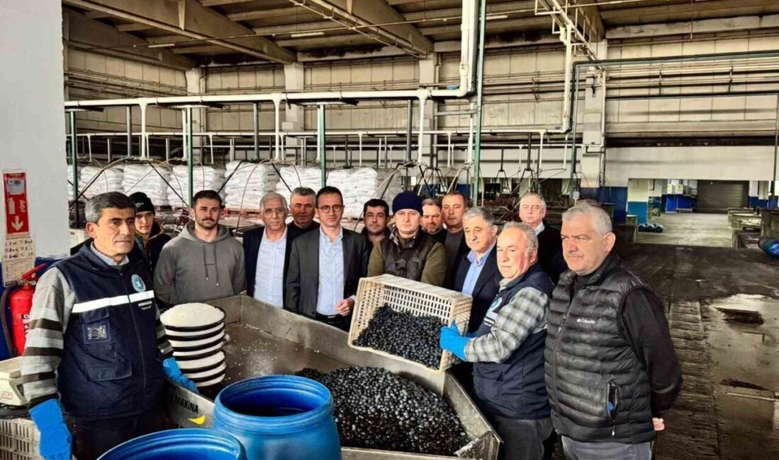 İznik Kaymakamı Arif Karaman, Marmarabirlik İznik Zeytin Kooperatifi'ni ziyaret ederek