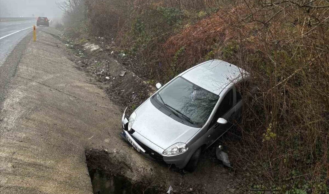 Zonguldak-Ereğli yolu üzerinde meydana gelen kazada, sis nedeniyle kontrolü kaybeden