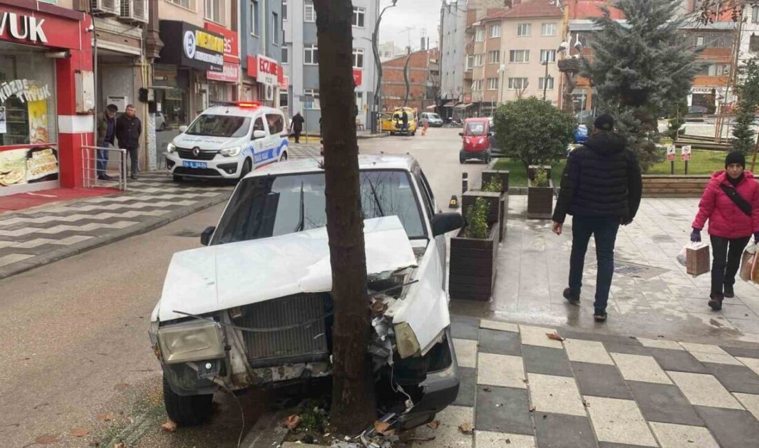 Köpeğe çarpmamak için ağaca çarptı Bolu'da köpeğe çarpmamak için