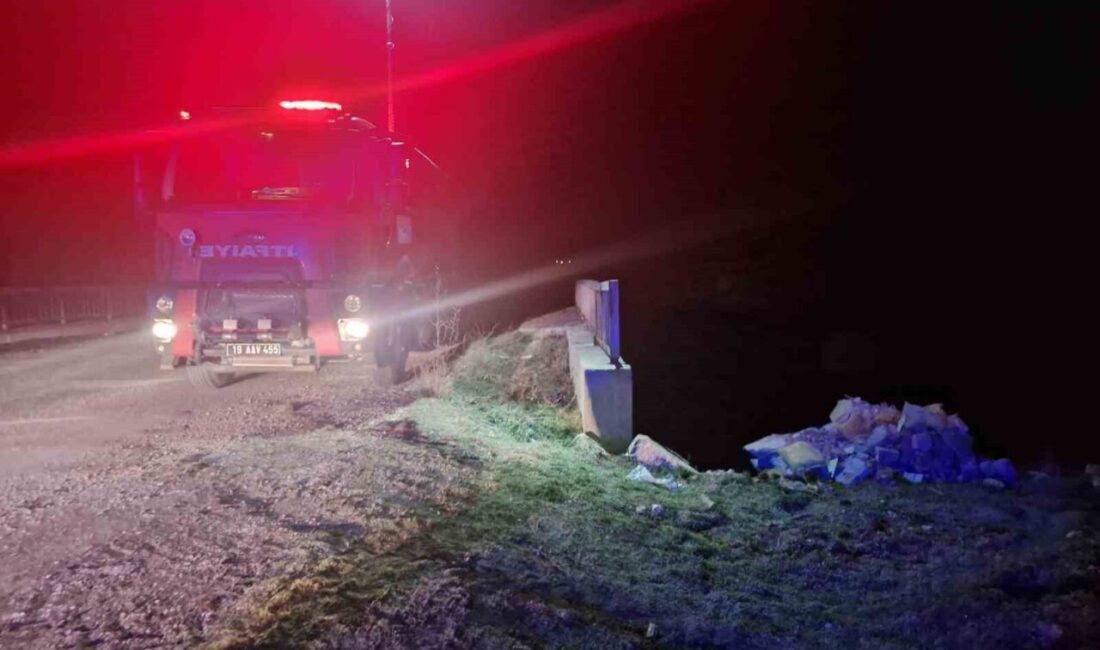Çorum'un Alaca ilçesinde köprüden düşen Ahmet A. yaralandı. Olay yerine