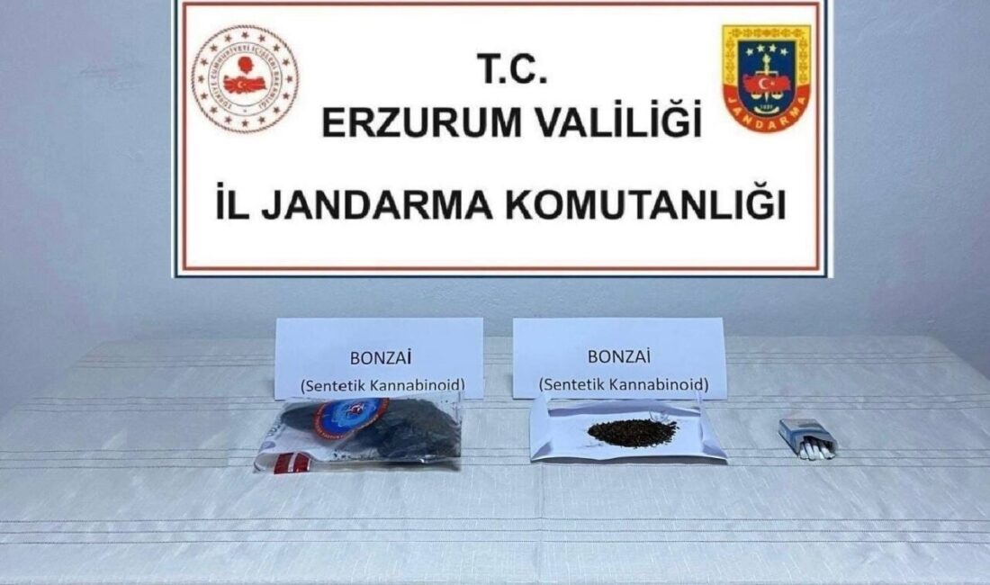 Erzurum'da yapılan operasyonlarda 50 gram bonzai ele geçirildi. Olayla ilgili