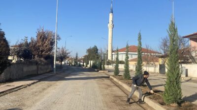 Köseli Belediye Başkanı Mustafa Duran, kasabada başlatılan ağaç dikim seferberliğinin