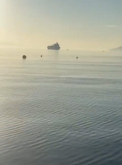 Bursa'nın Gemlik ilçesi Kumla Mahallesi'nde sahil halkı, gemiden yayılan amonyak
