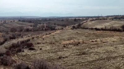 Malatya'nın Doğanşehir ilçesinde, yaklaşık 25 yaban domuzundan oluşan sürü, çiftçilerin