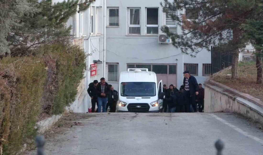 Darende'de yaşlı kadını bıçaklayarak öldüren B.K. tutuklandı. Jandarmadaki işlemlerinin ardından