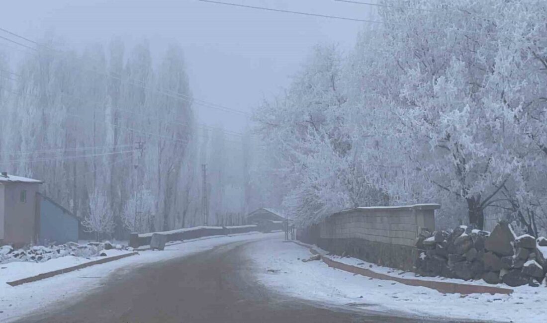 Malazgirt’te dondurucu soğuklar Malazgirt ilçesinde etkili olan
