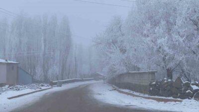Malazgirt ilçesinde etkili olan sert soğuklar, ağaçları kırağıyla kaplayarak beyaz