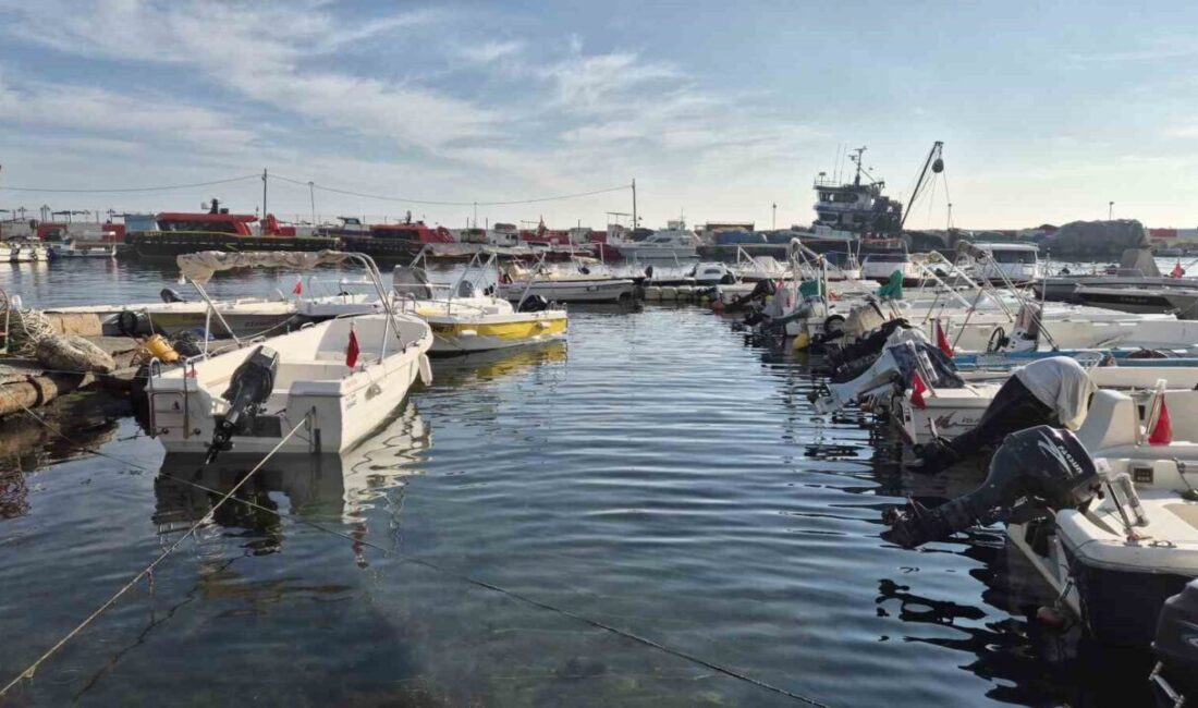 Tekirdağ’da balıkçılar Marmara Denizi’nde yeniden görülen müsilaj nedeniyle av faaliyetlerinde