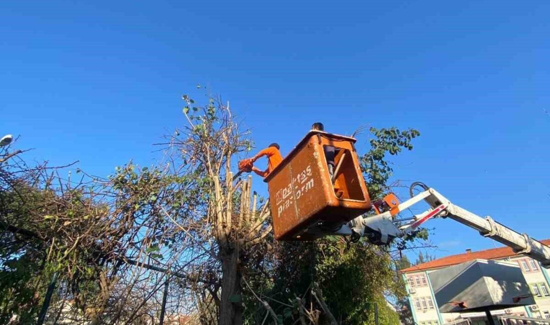 Marmaris Belediyesi, okulları ikinci döneme hazırladı. Park ve Bahçeler, Temizlik