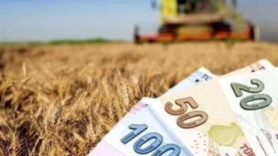 Yerköy İlçe Tarım ve Orman Müdürlüğü, 2024 yılı Mazot ve