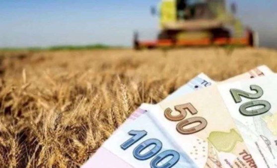 Yerköy İlçe Tarım ve Orman Müdürlüğü, 2024 yılı Mazot ve