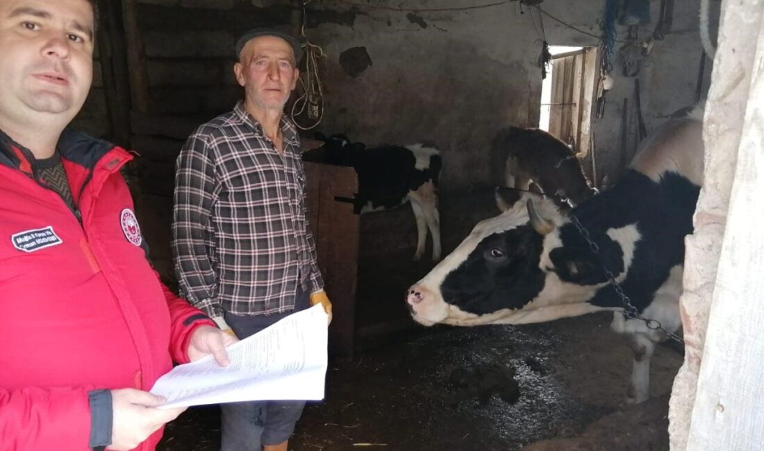 Menteşe İlçe Tarım ve Orman Müdürlüğü, hayvancılık işletmelerinde yüzde 5