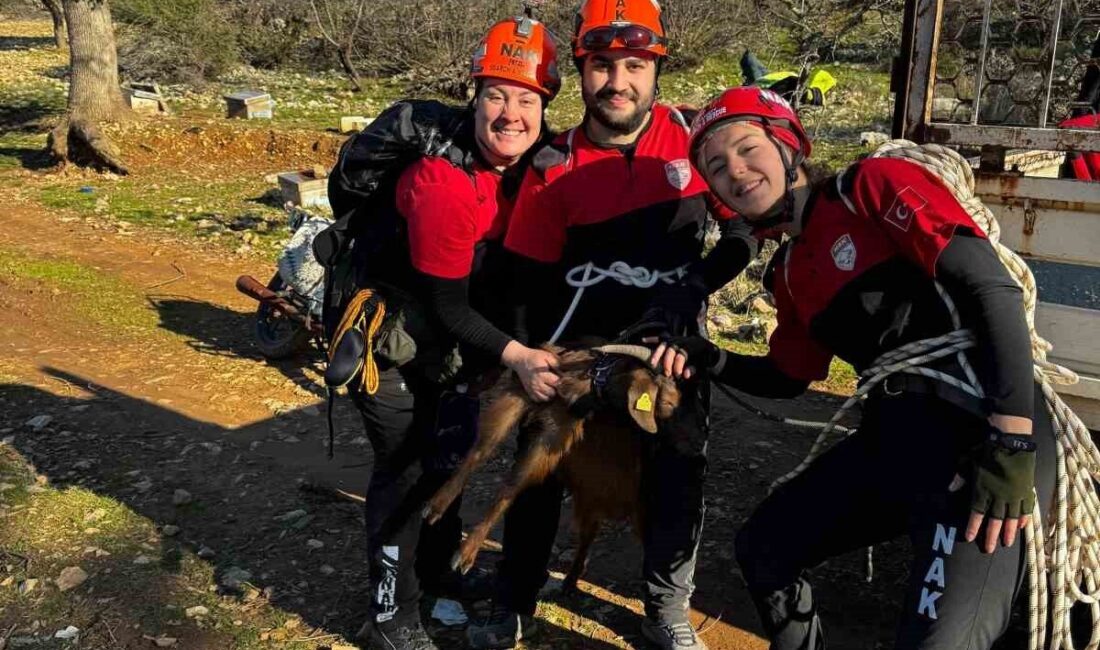 Muğla Menteşe'deki kanyonda mahsur kalan keçi, NAK Arama Kurtarma ekipleri