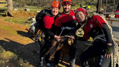Muğla Menteşe'deki kanyonda mahsur kalan keçi, NAK Arama Kurtarma ekipleri