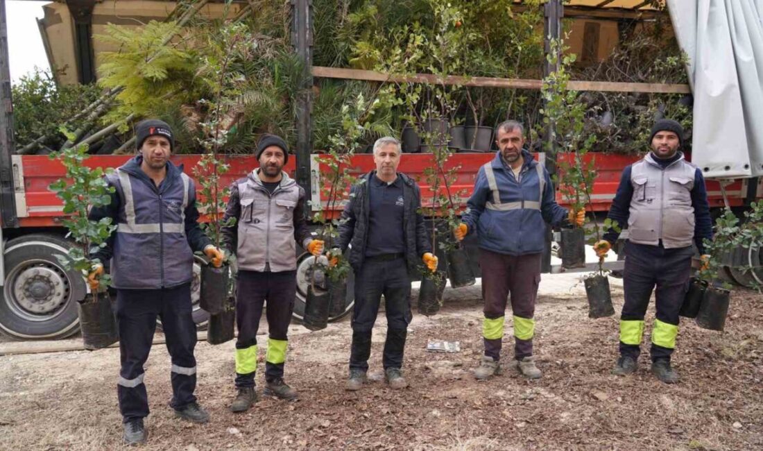 Mersin Büyükşehir Belediyesi, Adıyaman'a 8 bin fidan, süs bitkisi ve