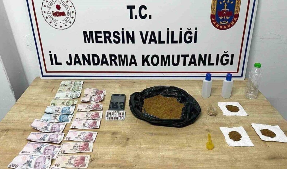 Mersin’de 2 uyuşturucu taciri yakalandı Mersin'in Gülnar ve Mut