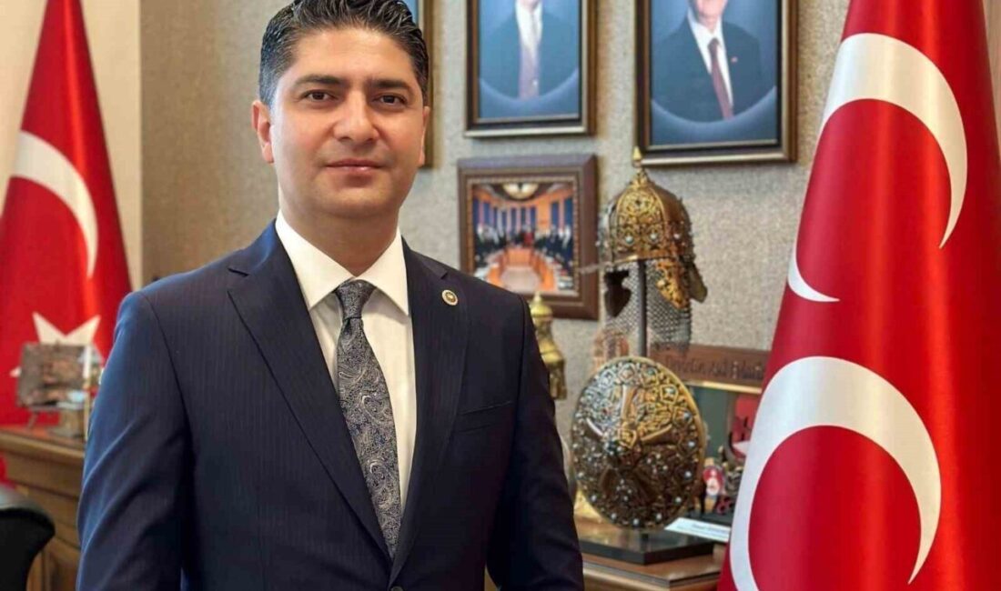 MHP Genel Başkan Yardımcısı İsmail Özdemir, Bolu'daki yangında kurtarma çalışmalarına