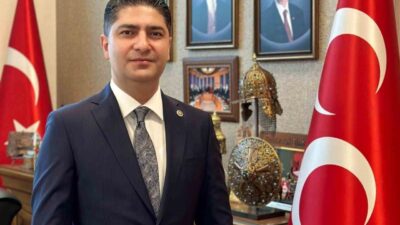 MHP Genel Başkan Yardımcısı İsmail Özdemir, Bolu'daki yangında kurtarma çalışmalarına